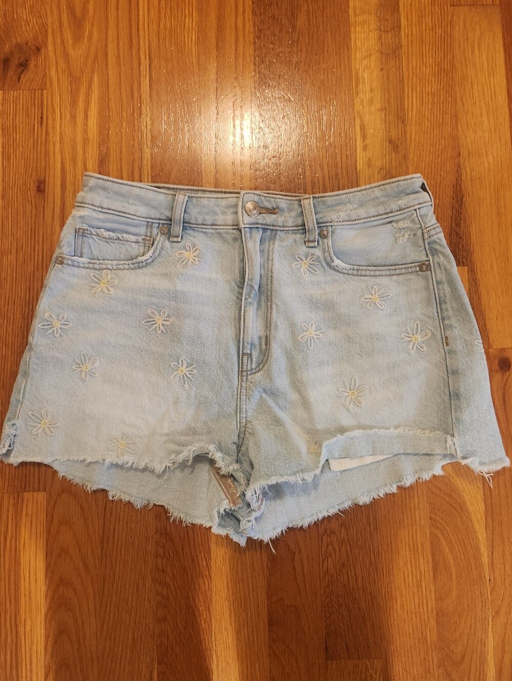 American Eagle Denim Daisy Embroidered Mom Shorts 6